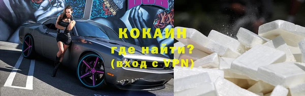 гидра Белокуриха